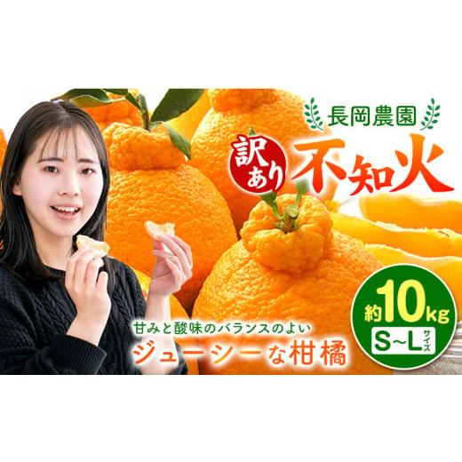 ふるさと納税 みかん・柑橘類 デコポン 和歌山県 日高川町 訳あり 不知火 ( デコポン )と同品種 約10kg 長岡農園[2月中旬-4月上旬頃出荷] 和歌山県 日高川…