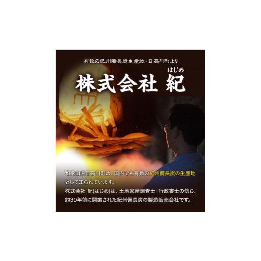 ふるさと納税 アウトドアグッズ 和歌山県 日高川町 紀州備長炭 馬目荒 約15kg 株式会社紀 《30日以内に出荷予定(土日祝除く)》 和歌山県 日高川町 備長炭 炭 …の画像