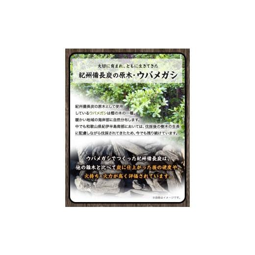 ふるさと納税 アウトドアグッズ 和歌山県 日高川町 紀州備長炭 馬目荒 約15kg 株式会社紀 《30日以内に出荷予定(土日祝除く)》 和歌山県 日高川町 備長炭 炭 …の画像