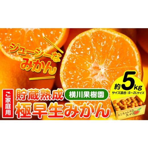 ふるさと納税 果物類 みかん 和歌山県 日高川町 貯蔵熟成 極早生みかん(日南1号) 約5kg S〜2L 家庭用 サイズ混合 横川果樹園 [9月下旬-10月下旬発送] 和歌山…