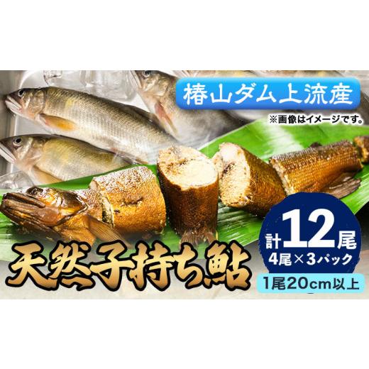ふるさと納税 川魚 あゆ 和歌山県 日高川町 日高川椿山ダム上流 天然 子持ち鮎 20cm以上 4尾×3パック 計12尾 川漁師なおべ[10月下旬-1月上旬頃出荷] 和歌山…