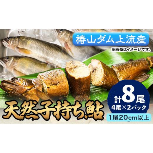 ふるさと納税 川魚 あゆ 和歌山県 日高川町 日高川椿山ダム上流 天然子持ち鮎 20cm以上 4尾×2パック 計8尾 川漁師なおべ[10月下旬-1月上旬頃出荷] 和歌山県…
