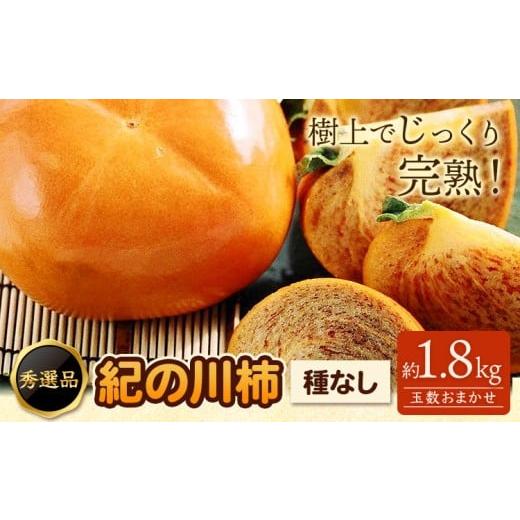 ふるさと納税 果物類 柿 和歌山県 日高川町 先行予約 希少 紀の川柿 約1.8kg(種無し)秀選品 厳選館 [10月上旬-11月上旬頃出荷] 和歌山県 日高川町 柿 カ…