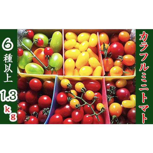 ふるさと納税 野菜類 トマト 岩手県 八幡平市  2026年7月上旬発送開始予定 岩手県産 こだわり カラフルミニトマト 1.3kg （6種類以上をお届け） ／ ミニ とま…_1