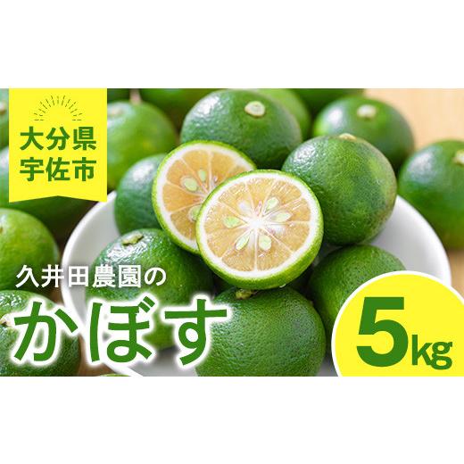 ふるさと納税 みかん・柑橘類 大分県 宇佐市 <先行予約受付中 2026年8月上旬以降順次発送予定>かぼす(5kg)柑橘 かんきつ 大分県産直 112600100 andK…