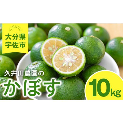 ふるさと納税 みかん・柑橘類 大分県 宇佐市 <先行予約受付中 2026年8月上旬以降順次発送予定>かぼす(10kg)柑橘 かんきつ 大分県産直 期間限定 11260020…