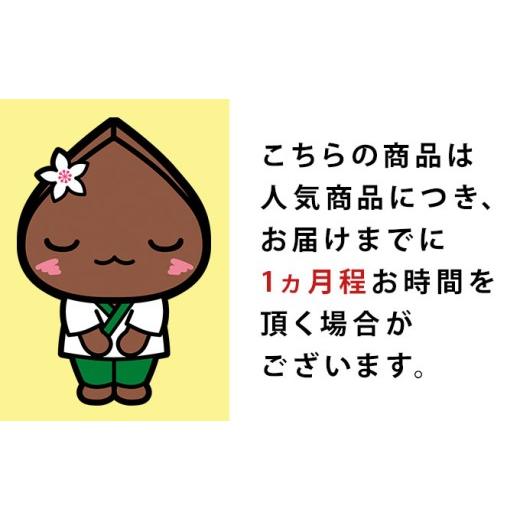 ふるさと納税 そば 乾めん 北海道 幌加内町  No.5795-0347 白銀の郷 200g×10束 20人前 十割 そば 北海道 幌加内 蕎麦 乾麺 麺 常温 年越し ソバ 引っ越し 十…_2