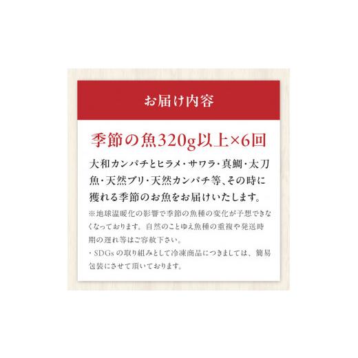 ふるさと納税 宮崎県 延岡市 【6ヶ月定期便】大和海商　高級お刺身　4人前　冷凍　N072-ZE040_2_Y 冷凍｜furusatochoice｜04