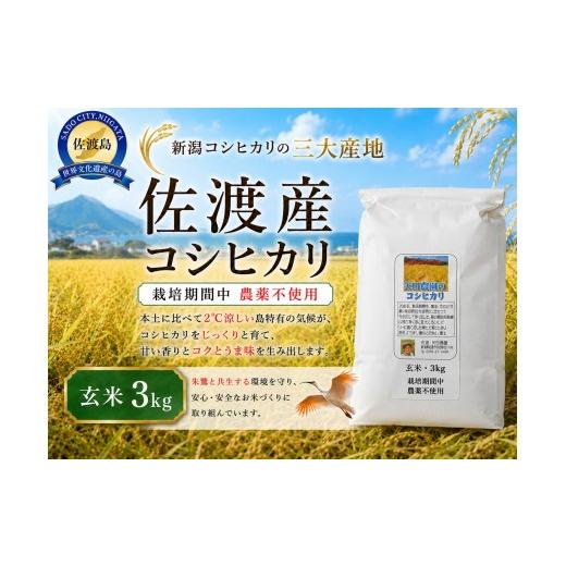 ふるさと納税 玄米 新潟県 佐渡市 先行予約 令和8年産 佐渡産コシヒカリ 玄米3kg 在来種 栽培期間中 農薬・化学肥料不使用 矢田農園 | 新潟県産コシヒカリ 新…