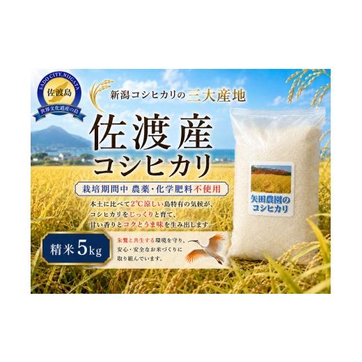 ふるさと納税 米 コシヒカリ 新潟県 佐渡市 先行予約 令和8年産 佐渡産コシヒカリ 精米5kg 在来種 栽培期間中 農薬・化学肥料不使用 矢田農園 | 新潟県産コシ…