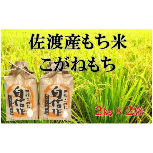 ふるさと納税 米・パン もち米 新潟県 佐渡市 佐渡産もち米 こがねもち 2kg×2袋