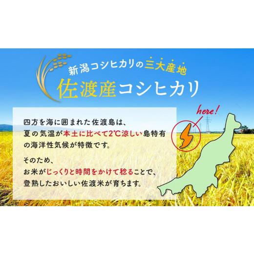 ふるさと納税 新潟県 佐渡市 佐渡産コシヒカリ　5kg×2袋｜furusatochoice｜03