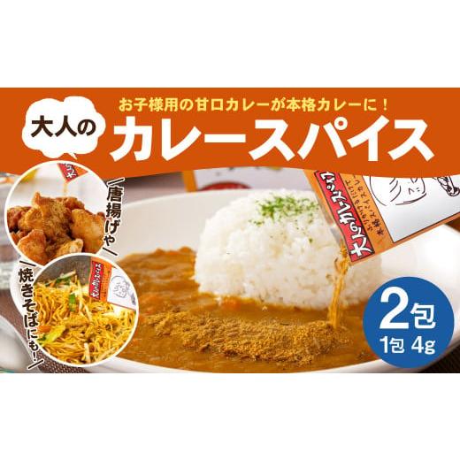 ふるさと納税 熊本県 合志市 大人のカレースパイス 計8g ( 4g×2包 ) セット 簡単調理 カレー スパイス