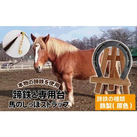 ふるさと納税 雑貨・日用品 インテリア 岩手県 滝沢市 蹄鉄 ( 鉄製 原色 )&amp; 専用台 &amp; 馬のしっぽの毛 ストラップ 馬っこパーク・いわて / 馬蹄 て…