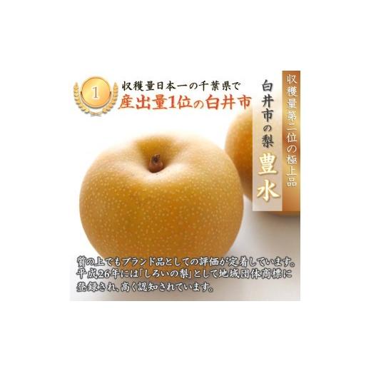 ふるさと納税 梨 千葉県 白井市  2026年秋収穫分 豊水 梨 5kg 12〜16玉 しろいの梨 予約受付 白井中央梨選果場組合_2