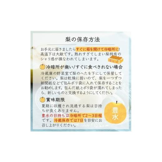 ふるさと納税 梨 千葉県 白井市  2026年秋収穫分 豊水 梨 5kg 12〜16玉 しろいの梨 予約受付 白井中央梨選果場組合_6