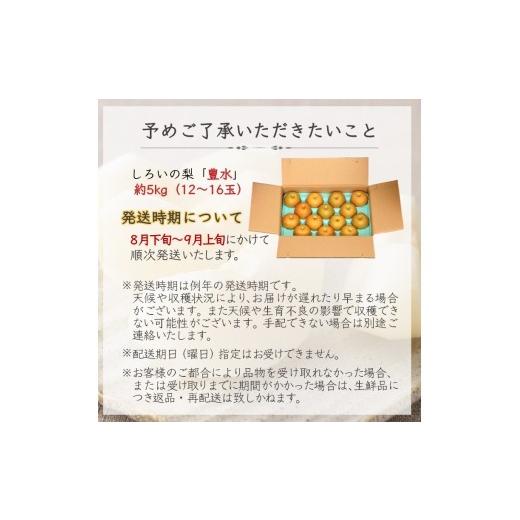 ふるさと納税 梨 千葉県 白井市  2026年秋収穫分 豊水 梨 5kg 12〜16玉 しろいの梨 予約受付 白井中央梨選果場組合_7