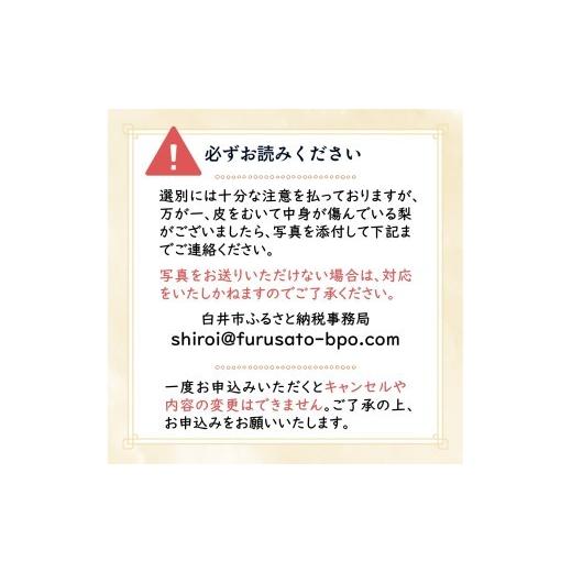 ふるさと納税 梨 千葉県 白井市  2026年秋収穫分 豊水 梨 5kg 12〜16玉 しろいの梨 予約受付 白井中央梨選果場組合_8