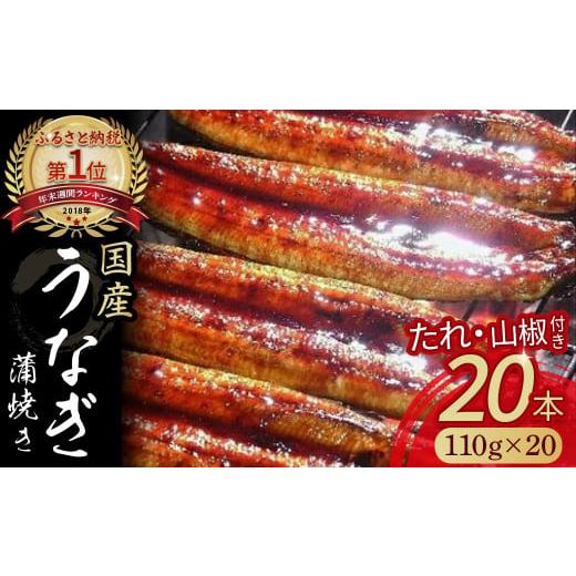 ふるさと納税 高知県 四万十町 うなぎ蒲焼き20本セット Esu-118 国産 うなぎ 鰻 名店 タレ付き 山椒付き