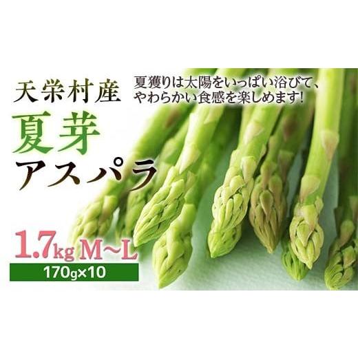 ふるさと納税 野菜類 アスパラガス 福島県 天栄村 先行予約 天栄村産 夏芽アスパラM〜Lサイズ 1.7kg F21T-440