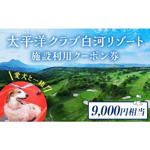 ふるさと納税 入場券・優待券 福島県 天栄村 太平洋クラブ白河リゾートで使えるクーポン券(9,000円相当) F21T-163 クーポン券3,000円券 3枚