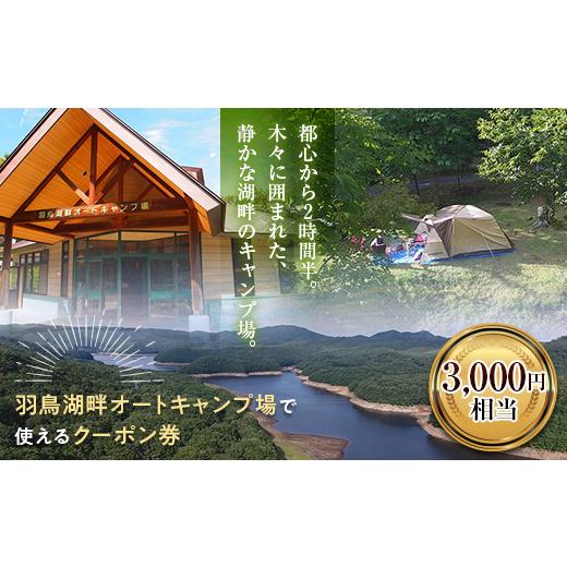ふるさと納税 入場券・優待券 福島県 天栄村 羽鳥湖畔オートキャンプ場で使えるクーポン券(3,000円相当) F21T-165 クーポン券500円券 6枚