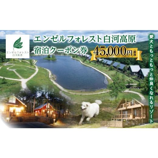 ふるさと納税 福島県 天栄村 エンゼルフォレスト白河高原で使える宿泊クーポン券(45000円相当) F21T-100