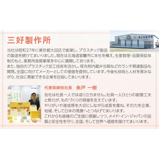 ふるさと納税 雑貨・日用品 北海道 室蘭市 GEL-COOL お弁当箱 スリムモデル オイスターグレー ふるさと納税 人気 おすすめ ランキング 北海道 室蘭 弁当 箱 ラ…の画像