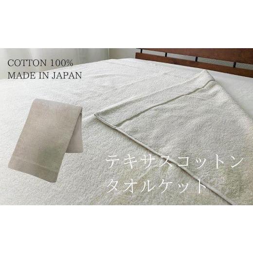ふるさと納税 タオル・寝具 タオルケット 和歌山県 和歌山市 テキサスコットンタオルケット（140×190cm）ベージュ SNT-20_1