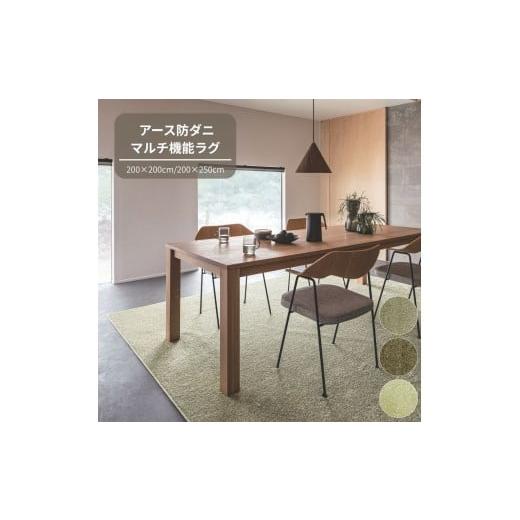 ふるさと納税 雑貨・日用品 大阪府 八尾市 H146 3色から選べる防虫・防ダニ・防カビ・抗菌のマルチ機能無地ラグ 2サイズ展開(ライトグリーン・200×200cm) カ…