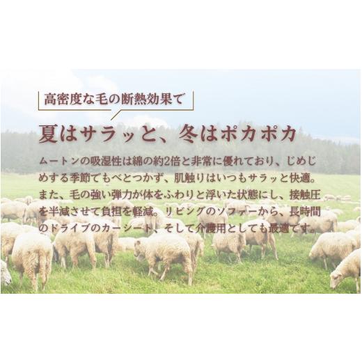 ふるさと納税 雑貨・日用品 長野県 上田市 信州上田製ムートン（羊毛皮）二匹物 長毛40mm以上  ブラウン No.5312-7025 0520 ブラウンの画像