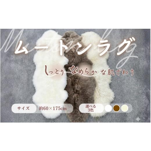 ふるさと納税 雑貨・日用品 長野県 上田市 信州上田製ムートン（羊毛皮）二匹物 長毛40mm以上  ベージュ No.5312-7026 0520 ベージュの画像