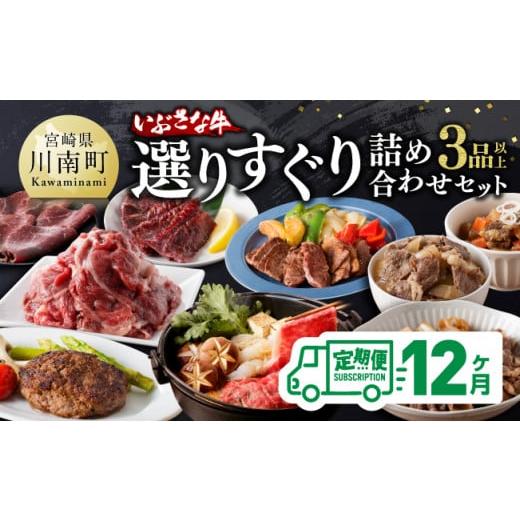 ふるさと納税 自治体にお任せ 宮崎県 川南町  12ヶ月定期便 いぶさな牛 選りすぐり 詰め合わせセット 肉 牛肉 精肉 いぶさな牛 国産 九州産 宮崎県産 全12回 | 