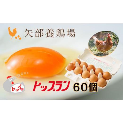 ふるさと納税 卵（鶏、烏骨鶏等） 埼玉県 川島町  矢部養鶏場のたまご こだわりのブランドたまご　トップラン60個（10個パック×6）お取り寄せ 新鮮 ニワトリ … | 