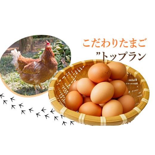 ふるさと納税 卵（鶏、烏骨鶏等） 埼玉県 川島町  矢部養鶏場のたまご こだわりのブランドたまご　トップラン60個（10個パック×6）お取り寄せ 新鮮 ニワトリ … |  | 03