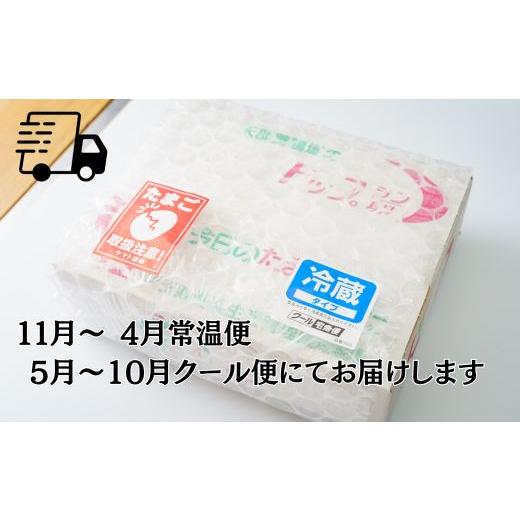 ふるさと納税 卵（鶏、烏骨鶏等） 埼玉県 川島町  矢部養鶏場のたまご こだわりのブランドたまご　トップラン60個（10個パック×6）お取り寄せ 新鮮 ニワトリ … |  | 04