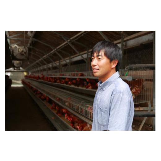 ふるさと納税 卵（鶏、烏骨鶏等） 埼玉県 川島町  矢部養鶏場のたまご こだわりのブランドたまご　トップラン60個（10個パック×6）お取り寄せ 新鮮 ニワトリ … |  | 05