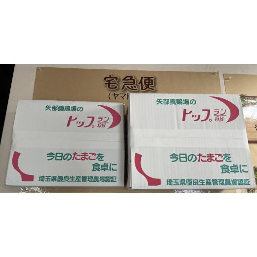 ふるさと納税 卵（鶏、烏骨鶏等） 埼玉県 川島町  矢部養鶏場のたまご こだわりのブランドたまご　トップラン60個（10個パック×6）お取り寄せ 新鮮 ニワトリ … |  | 08