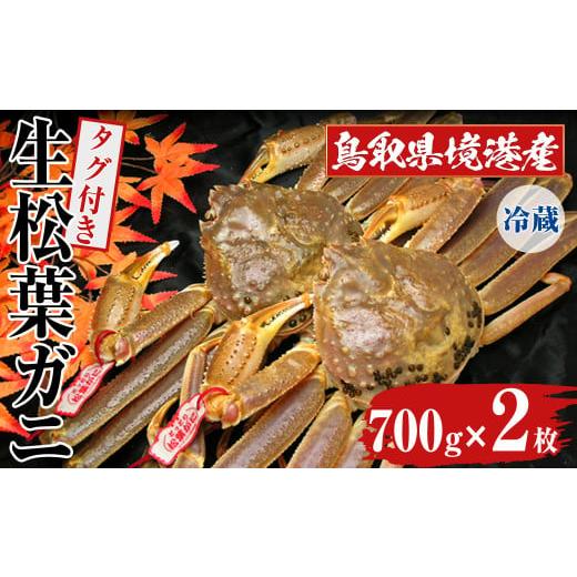 ふるさと納税 カニ 松葉ガニ 鳥取県 境港市 11月中旬〜3月中旬発送予定 平日着 指定日不可 鳥取県境港産 タグ付き生松葉がに(700g×2枚) sm-BN005-A 三光水産…