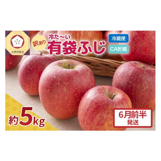 ふるさと納税 りんご 青森県 五所川原市 2026年6月前半発送 りんご ふじ 訳あり 約 5kg 有袋栽培 CA貯蔵 クール便 果物類 林檎 リンゴ ふじりんご 家庭用 フ…