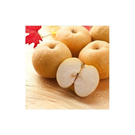 ふるさと納税 梨 鳥取県 若桜町 223-W23. 先行予約 農家さん応援 訳あり 新興梨(しんこうなし) 4kg