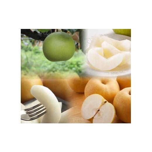 ふるさと納税 梨 鳥取県 若桜町 221-W21. 先行予約 品種はおまかせ 農家さん応援 訳あり 鳥取梨セット