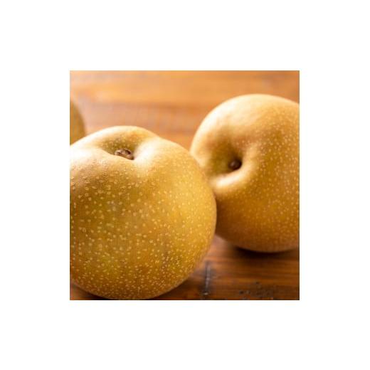 ふるさと納税 梨 鳥取県 若桜町 210-W10. 先行予約 プレミアム秋甘泉(あきかんせん) 3kg前後