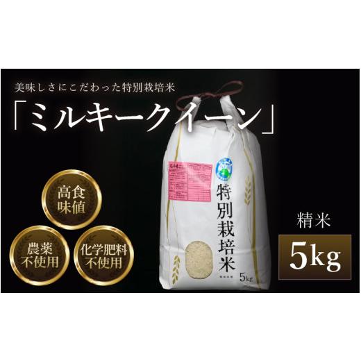 ふるさと納税 米 ミルキークイーン 福井県 あわら市 先行予約 令和8年産 新米 ミルキークイーン 精米 5kg 特別栽培米 農薬不使用 化学肥料不使用 / 高品質 …