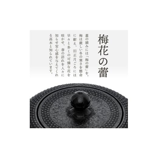 ふるさと納税 金工品 岩手県 奥州市  4月23日より価格改定 10ヶ月以内発送予定 南部鉄器 鉄瓶 寒梅あられ鉄瓶 〜ARARE〜 1.2L IH対応 ガス やかん ケトル 日本…の画像