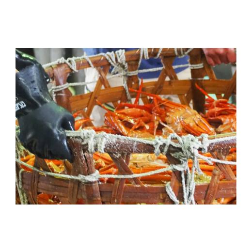 ふるさと納税 カニ 兵庫県 香美町  香住ガニ たっぷり20本入脚身と自家製濃厚蟹みそ 40g×2個 セット 冷蔵 令和8年10月以降発送予定 カニの本場 日本海 香住 …_6