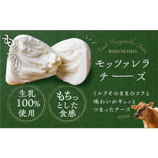 ふるさと納税 岐阜県 飛騨市 チーズ 定期便 4回 乳製品＜牧成舎＞チーズ フレッシュ モッツァレラチーズ 冷蔵 小分け 個包装 カプレーゼ パスタ ピザ おつまみ…｜furusatochoice｜04