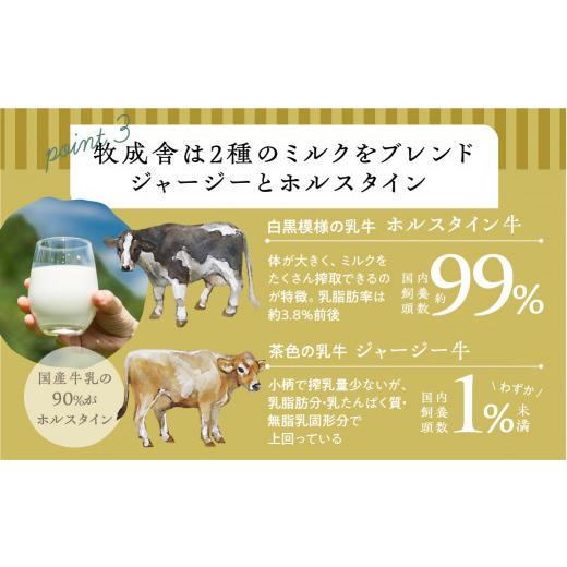 ふるさと納税 岐阜県 飛騨市 チーズ 定期便 4回 乳製品＜牧成舎＞チーズ フレッシュ モッツァレラチーズ 冷蔵 小分け 個包装 カプレーゼ パスタ ピザ おつまみ…｜furusatochoice｜08