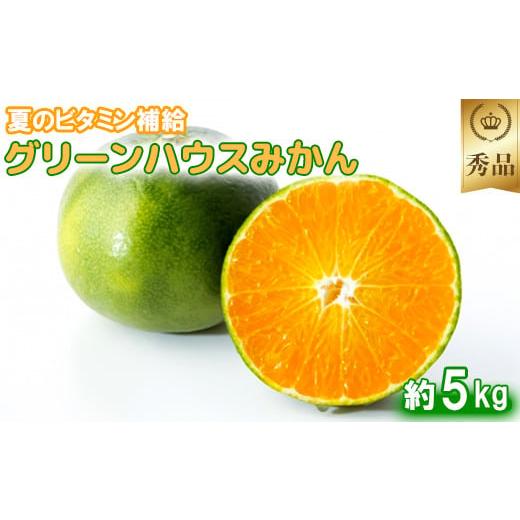 ふるさと納税 大分県 杵築市 今村農園のグリーンハウスみかん 約5kg【秀品】 みかん 柑橘 5kg 秀品 先行予約 7月 8月 フルーツ ＜107-012_5＞｜furusatochoice｜02