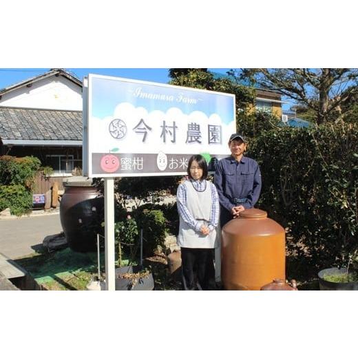 ふるさと納税 大分県 杵築市 今村農園のグリーンハウスみかん 約5kg【秀品】 みかん 柑橘 5kg 秀品 先行予約 7月 8月 フルーツ ＜107-012_5＞｜furusatochoice｜06